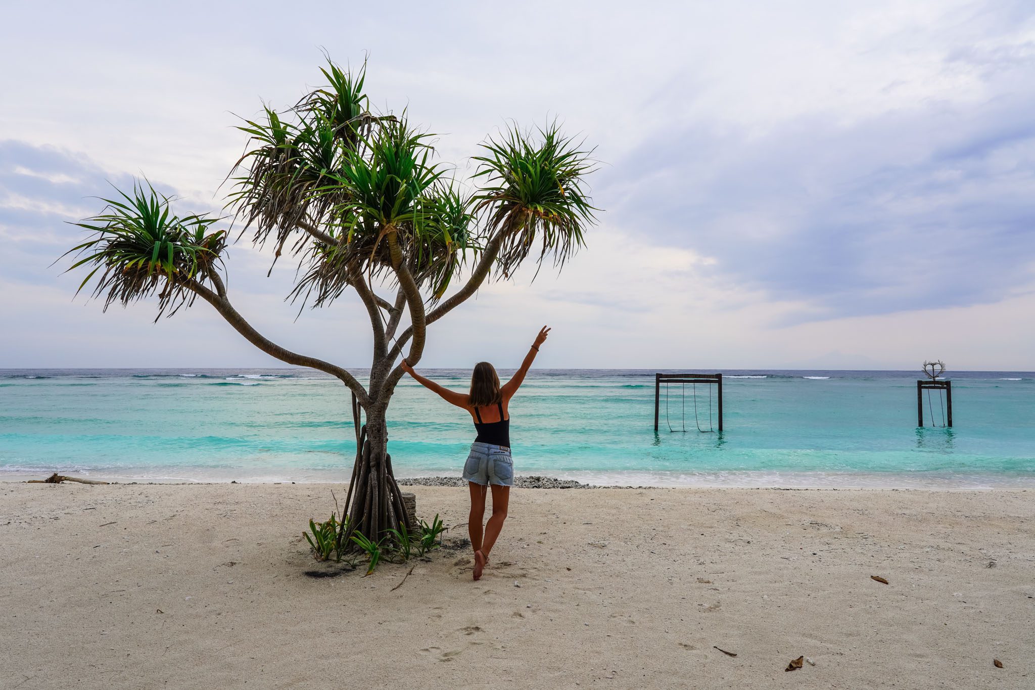 Woman on beach near ocean in Gili Islands with tree and swings in view.