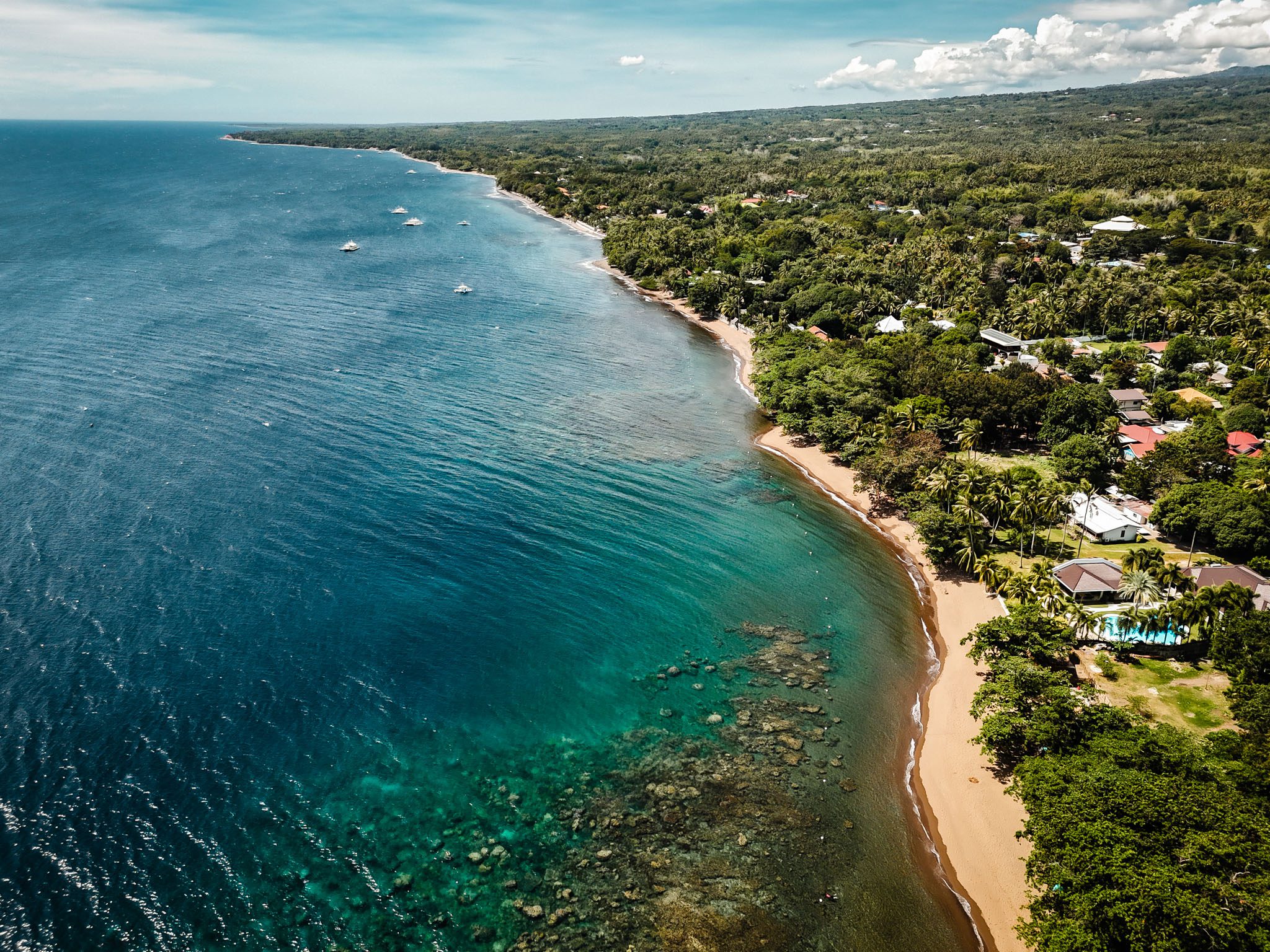 Aerial view of the coastline in Dumaguete, Philippines, featuring lush greenery and clear waters.