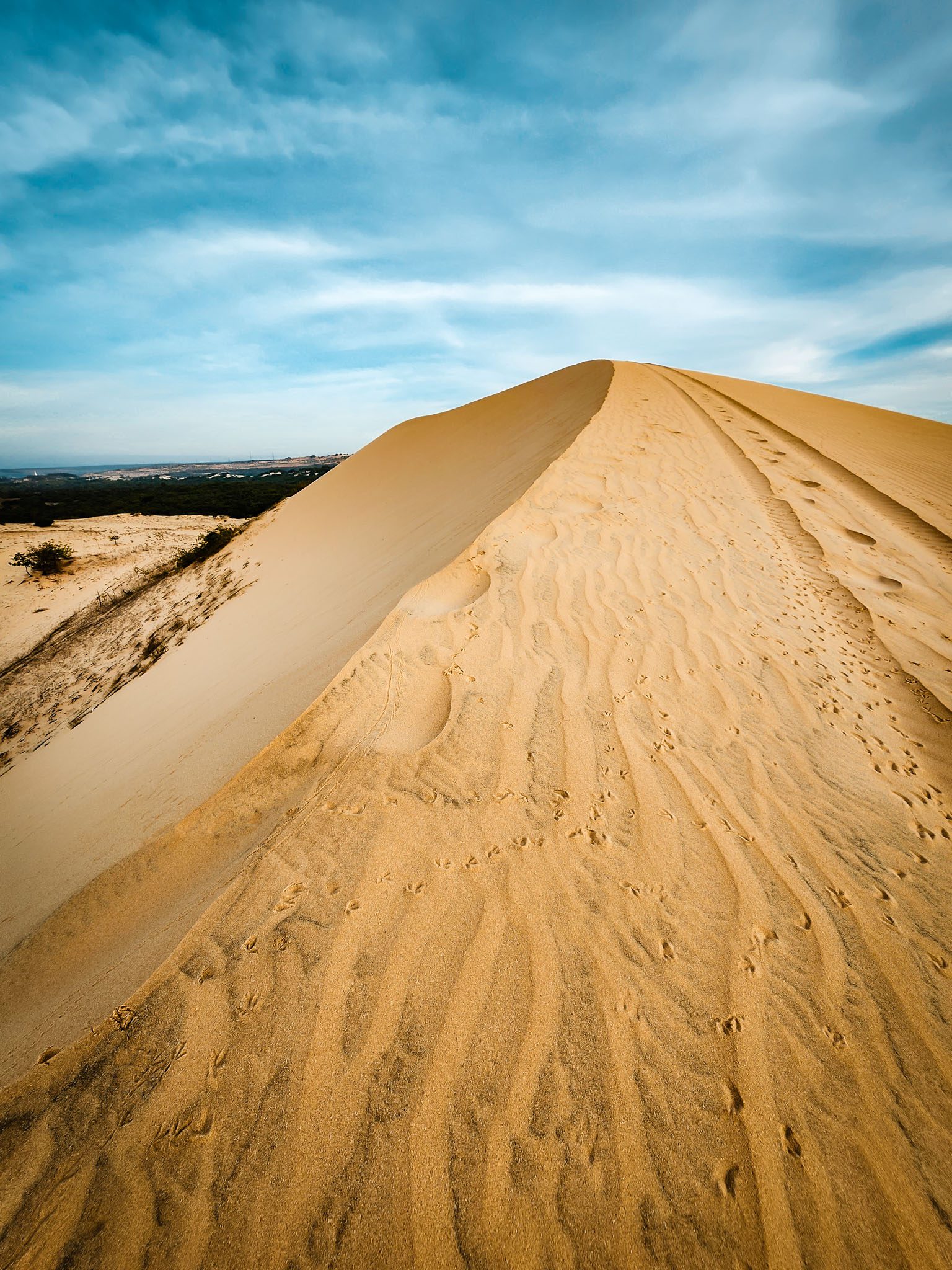 Golden sand dunes and blue sky in Mui Ne, Vietnam.