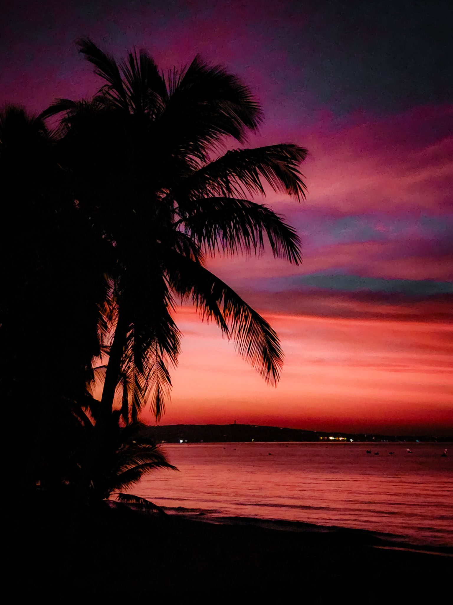 Silhouette of palm trees against a vibrant sunset in Mui Ne, Vietnam.
