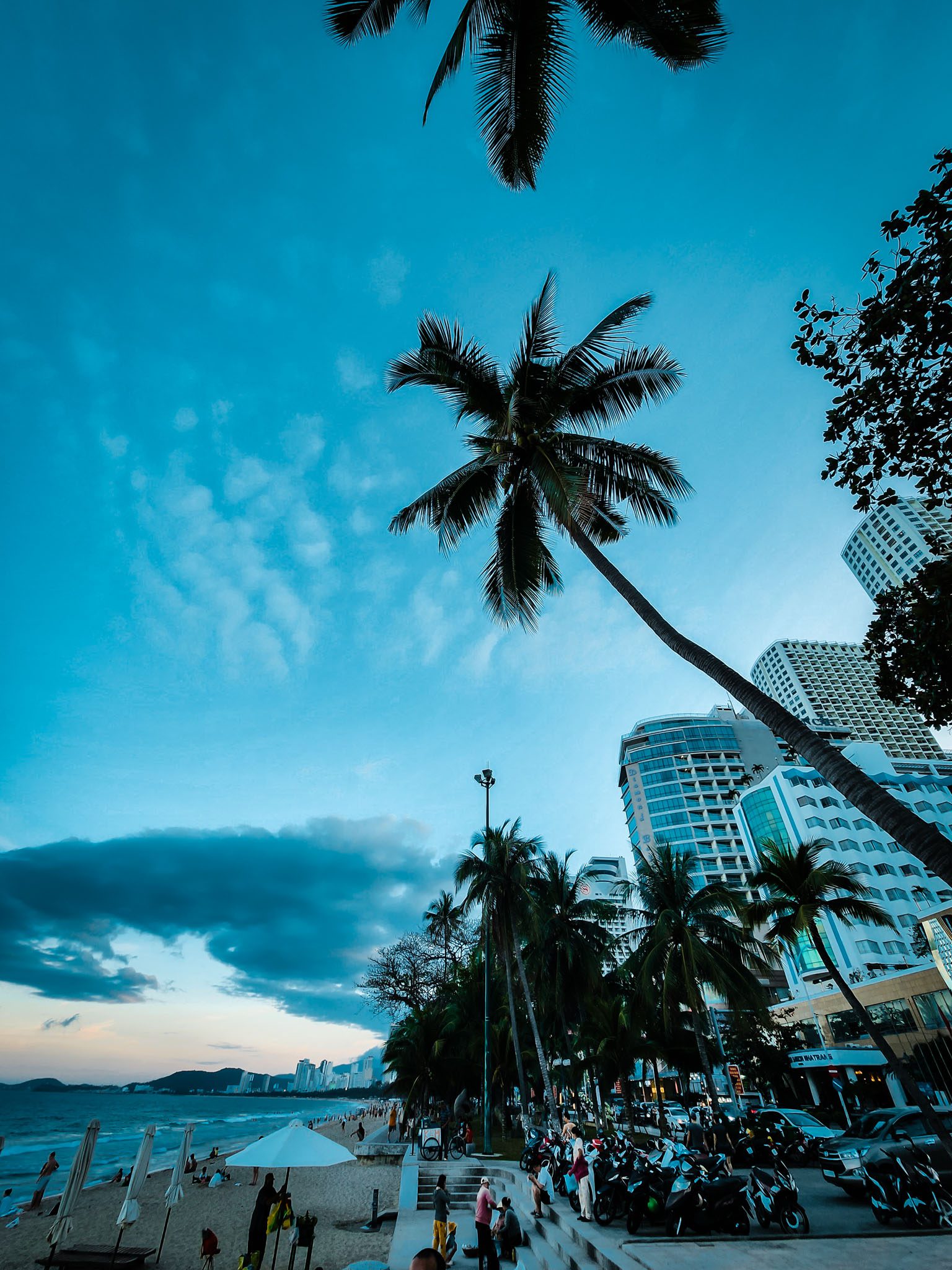 Nha Trang beach view with palm trees, beachfront buildings, and people enjoying the shore.